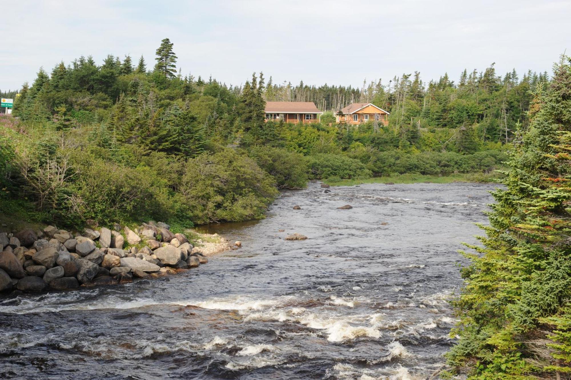Riverside Chalets River of Ponds Экстерьер фото